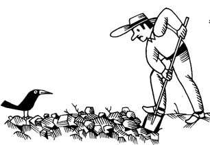 Travaux de jardinage en Février