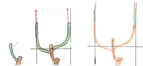 Autres exemples de taille