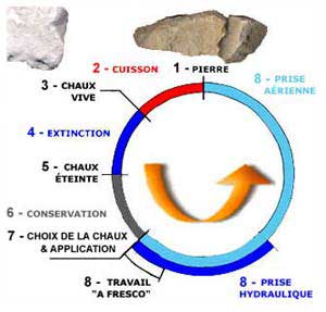 LE CYCLE DE LA CHAUX