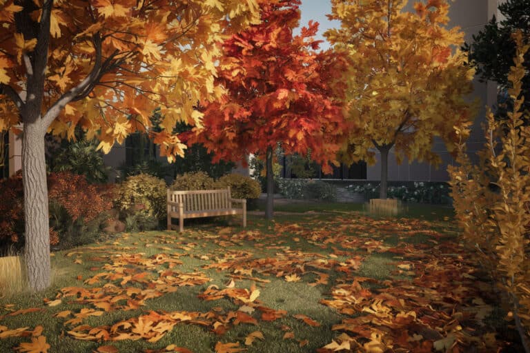 Préparez votre jardin pour l'automne : conseils pratiques