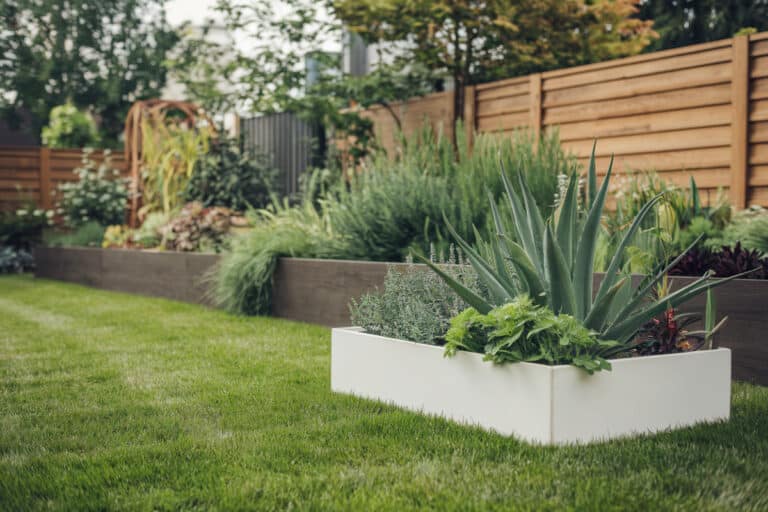 Voici 5 astuces incontournables pour rendre votre jardin facile d'entretien dès aujourd'hui