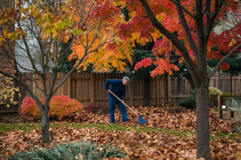 Voici comment entretenir votre jardin en Décembre pour le préparer à un épanouissement printanier réussi