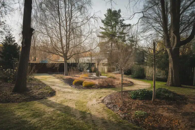 Ces 12 conseils pratiques que tout jardinier devrait connaître pour entretenir son jardin en décembre