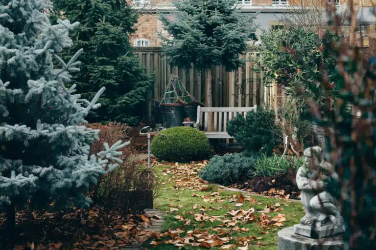 Ces 7 conseils pratiques pour entretenir et aménager votre jardin en décembre comme un pro
