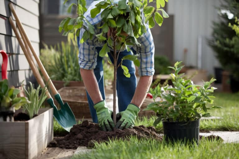 Ces erreurs courantes que font les jardiniers débutants et comment les éviter pour un jardin épanoui