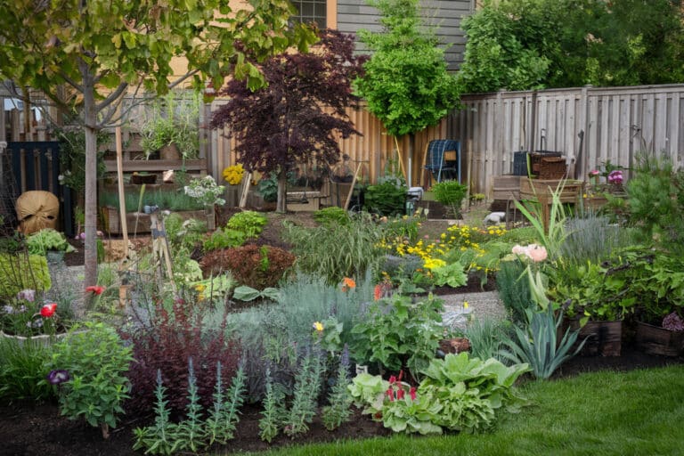 Pourquoi il est essentiel d'entretenir son jardin chaque mois : un guide pratique pour toutes les saisons