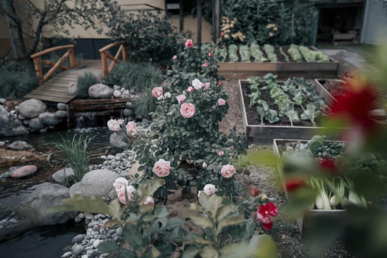Trois jardins bretons ouverts au public ce weekend, révélant leurs aménagements paysagers surprenants.